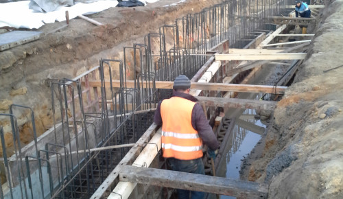 Revitalizace pobřeží Máchova jezera