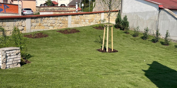 Demolice objektu v Ptácké ulici, Mladá Boleslav