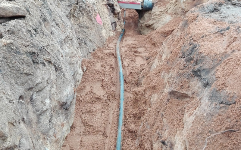 Revitalizace pobřeží Máchova jezera